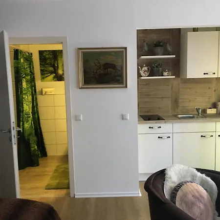 Bed & Breakfast Gaestehaus Koehler Waldsolms