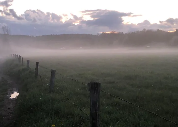 Gaestehaus Koehler Bed & Breakfast