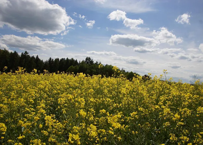 Gaestehaus Koehler Bed & Breakfast 3*