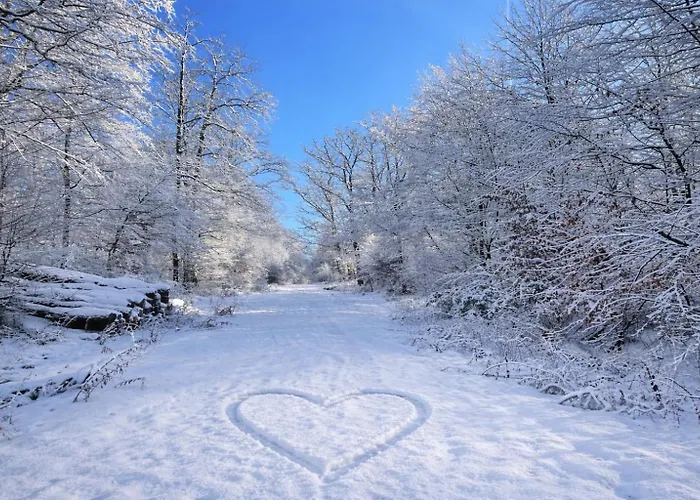 Gaestehaus Koehler 3*